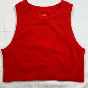 Women's offline by aerie seamless crop top